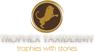 logo_trophex2